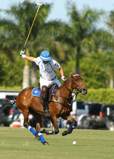 Photos-Valiente vs. Audi alex pacheco polo match polo tournament 5