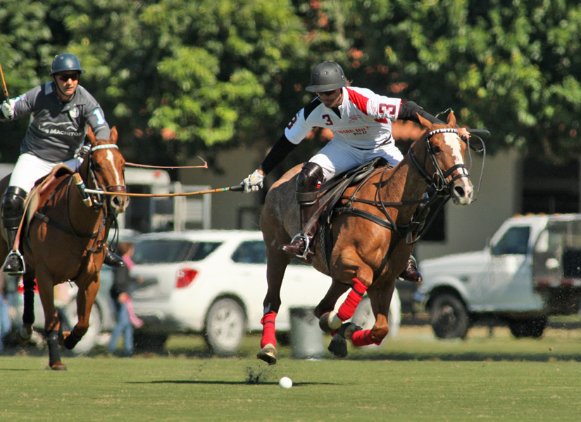joebarrymemorialcupipcpoloclubpolomagazinepacheco 2