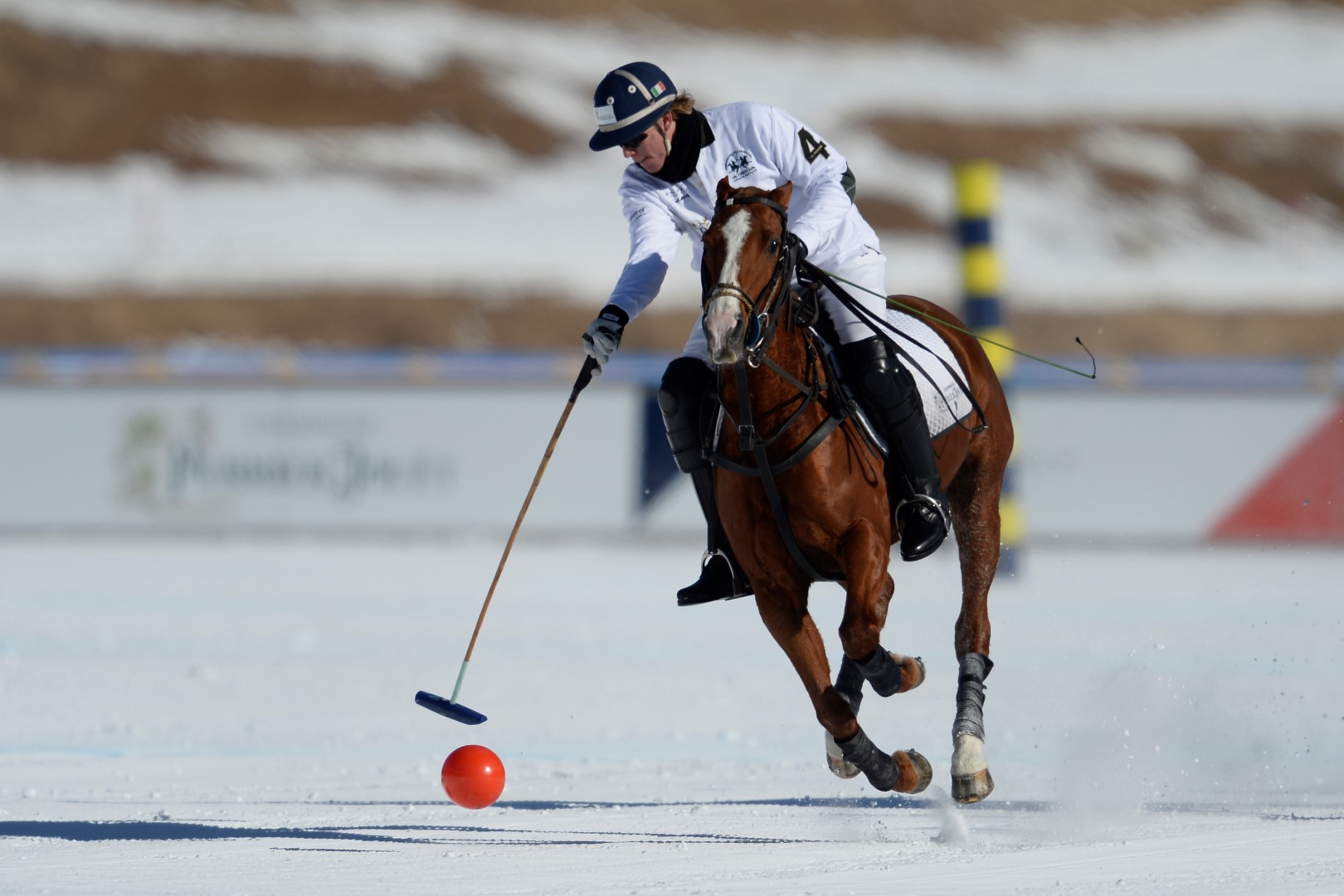 27 01 17-0141 31744063603 o