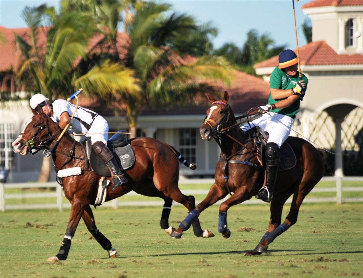 polo newport ami de la mer DSC 4163a