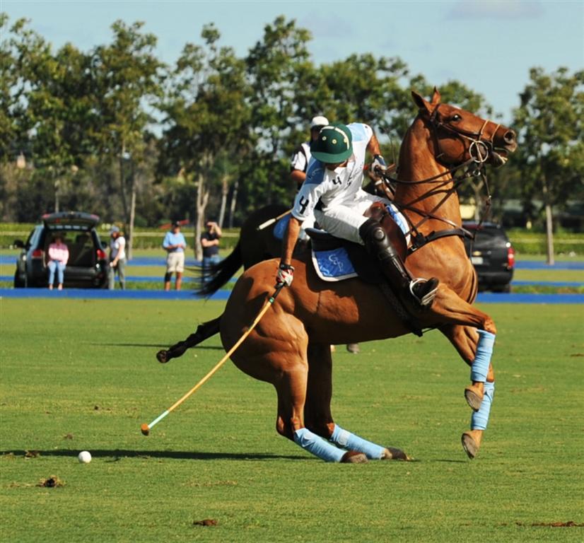 goose creek vs jan pamela