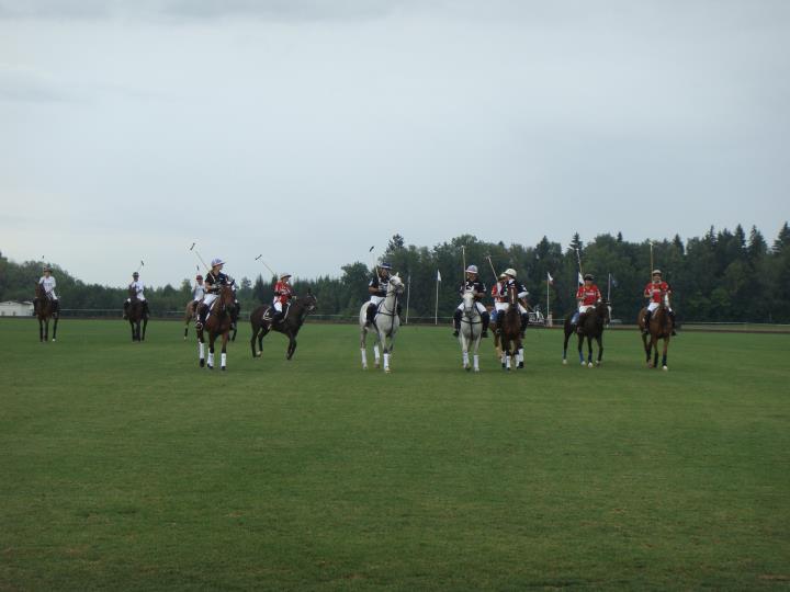 Moscow Polo News