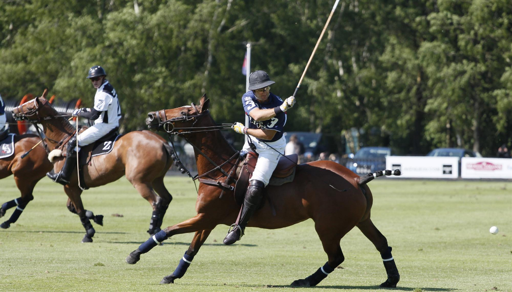 les lions polo team polo cartier queens cup 2013 celine genonceau polo magazine 7