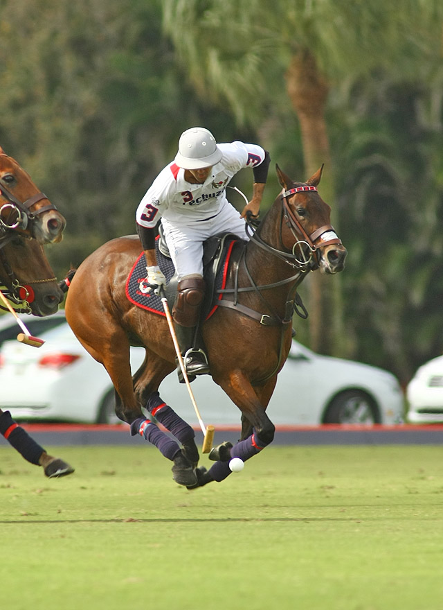 cvwhitneyquarterfinalpolomagazinePacheco 2