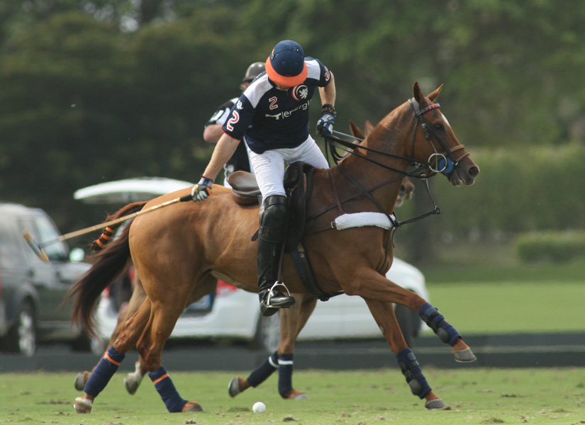 polomag pacheco photos machito 7